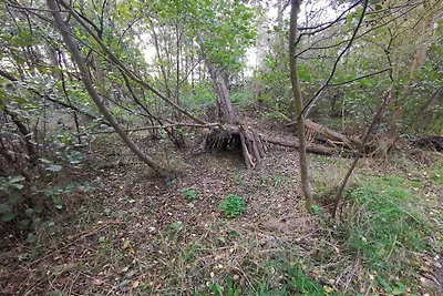 Strandrefugium in Lolland -- By Traum...