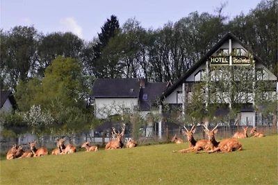 Belvilla Heiderhof Toegankelijke...