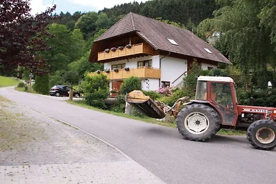 Boerderij in Steinach met zwembad