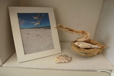Strandhaus Krabbe
