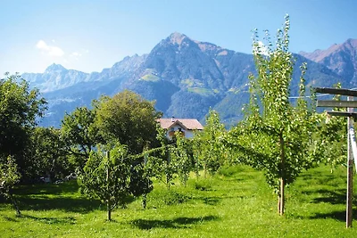 Wohnung in Südtirol, Trentino mit Balkon