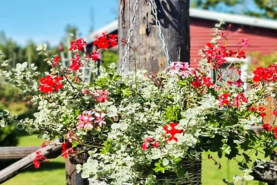 5 Personen Ferienhaus in HALLSTAVIK