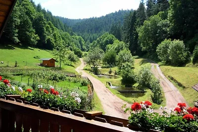 Eulersbacher Hof Residenza di vacanza...