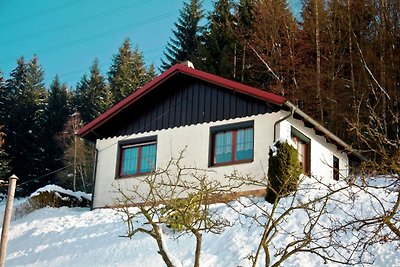 Gemütliches Ferienhaus mit herrlichen Hausbli...