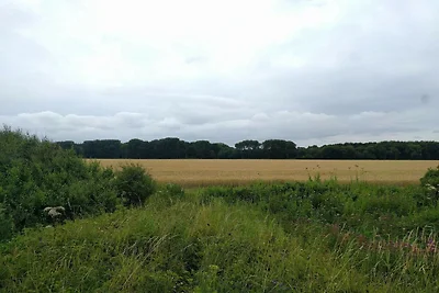 5 Sterne Ferienhaus in Otterup