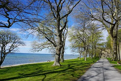 4 Sterne Ferienhaus in VISBY
