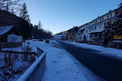 Ferienwohnung im Oberharz in Wildemann