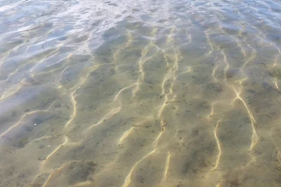 Helles Strandhaus in Marielyst -- By Traum...