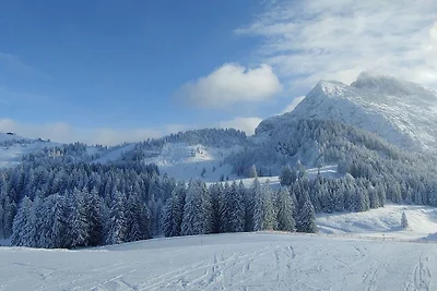 Alpendorf Dachstein Oeste 36