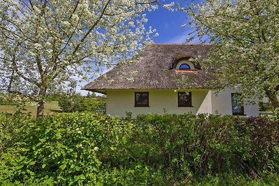 Ferienhaus im Van der Valk Resort in Linstow