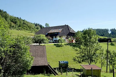 Rinkenbachhof Rifugio moderno