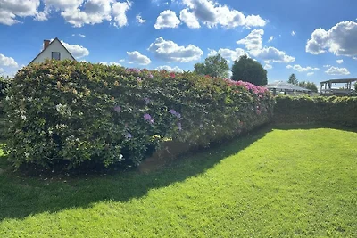 Vista sul castello di Braunfels