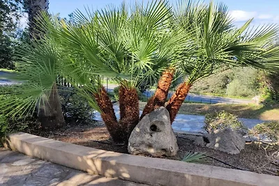 Vakantieappartement in Lumio met zwembad