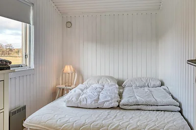 5 persone case ad Læsø