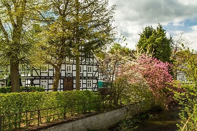 Feldmann-Schütte