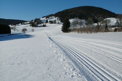 Angenehme Wohnung in Bernau-Innerlehen mit...