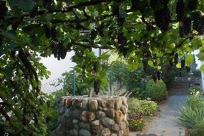 Garden at the house on Blütenweg