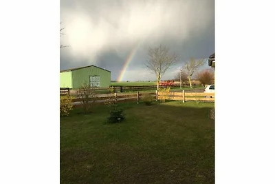Geel - Peter's moderne toevluchtsoord