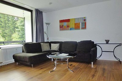 Vakantiewoningen, Winterberg