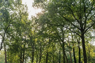 Chalet in der Nähe von Wanderwegen und Wald