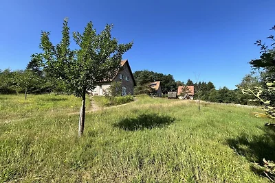Felsenbirne im Heidezauber