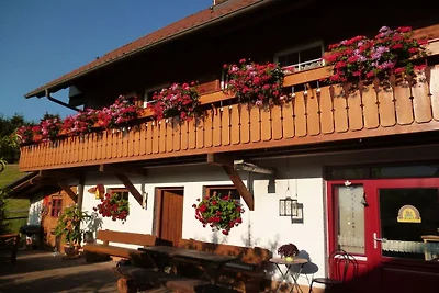 Sonneneck auf dem Gipfhof