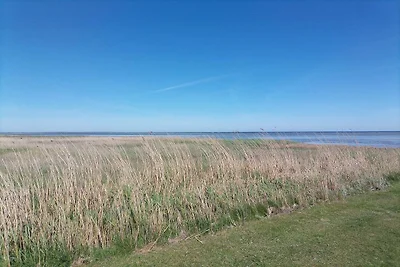 6 persoons vakantie huis in Ørsted