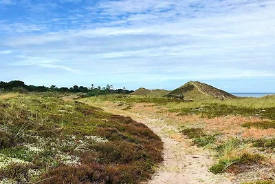 4 sterren vakantie huis in Laeso