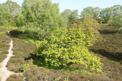 8 persone case ad Gjern-By Traum