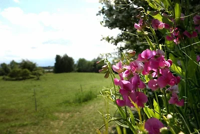 Seehof "Seewiese"