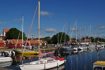 4 Sterne Ferienhaus in Fågelmara