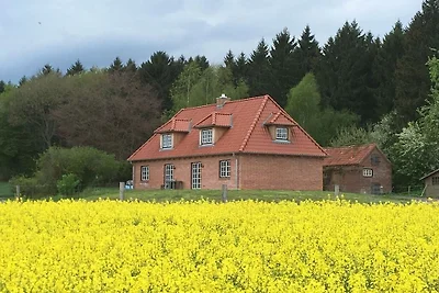 Ferienhaus in Wensin mit Schwimmbecken
