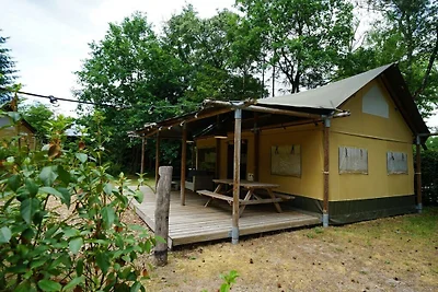 Ferienhaus in Otterlo mit Terrasse