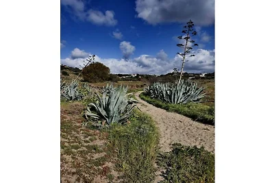 Villa Sarah Komfortable Ferienresidenz