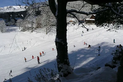 Vakantiehuis in Grindelwald met zwembad
