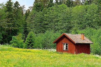 2 osob apartament w NÄSSJÖ