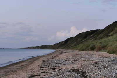 Vakantiehuis Ontspannende vakantie Hjerm, Struer