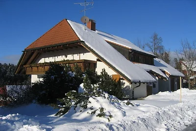 Sattler House, rookvrij