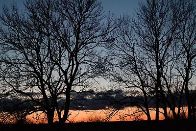 Panorama dalla casa vacanze (estate) Panorama dalla casa vacanze (estate)