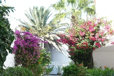 Bungalow mit 2 Schlafzimmer