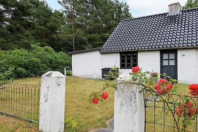 6 persone case ad Læsø-By Traum