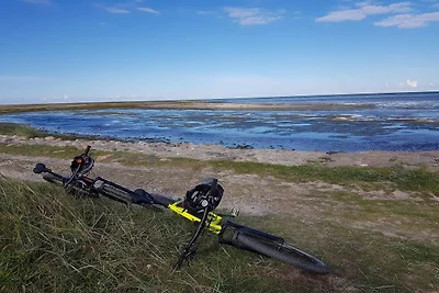 6 Personen Ferienhaus in Hadsund-By Traum