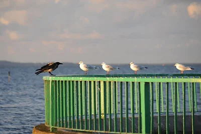 Apartament w Ueckermünde z basenem