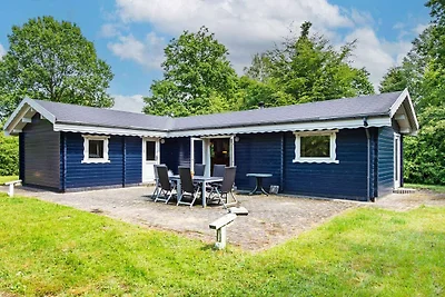 6 Personen Ferienhaus in Silkeborg-By Traum