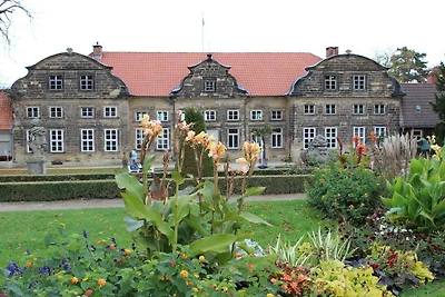 Harz vakantie Comfortabel vakantiehuis