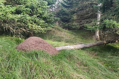 Maison de vacances pour 6 a Hjørring