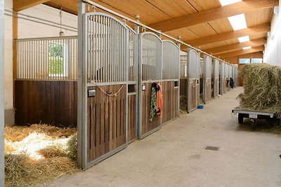 Vakantiehuis op een manege