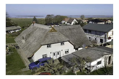 Zum Reetdachhaus am Haff " Möwennest"