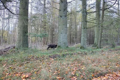 4 Personen Ferienhaus in Hovborg-By Traum