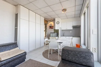 Mooi dakappartement met zeezicht